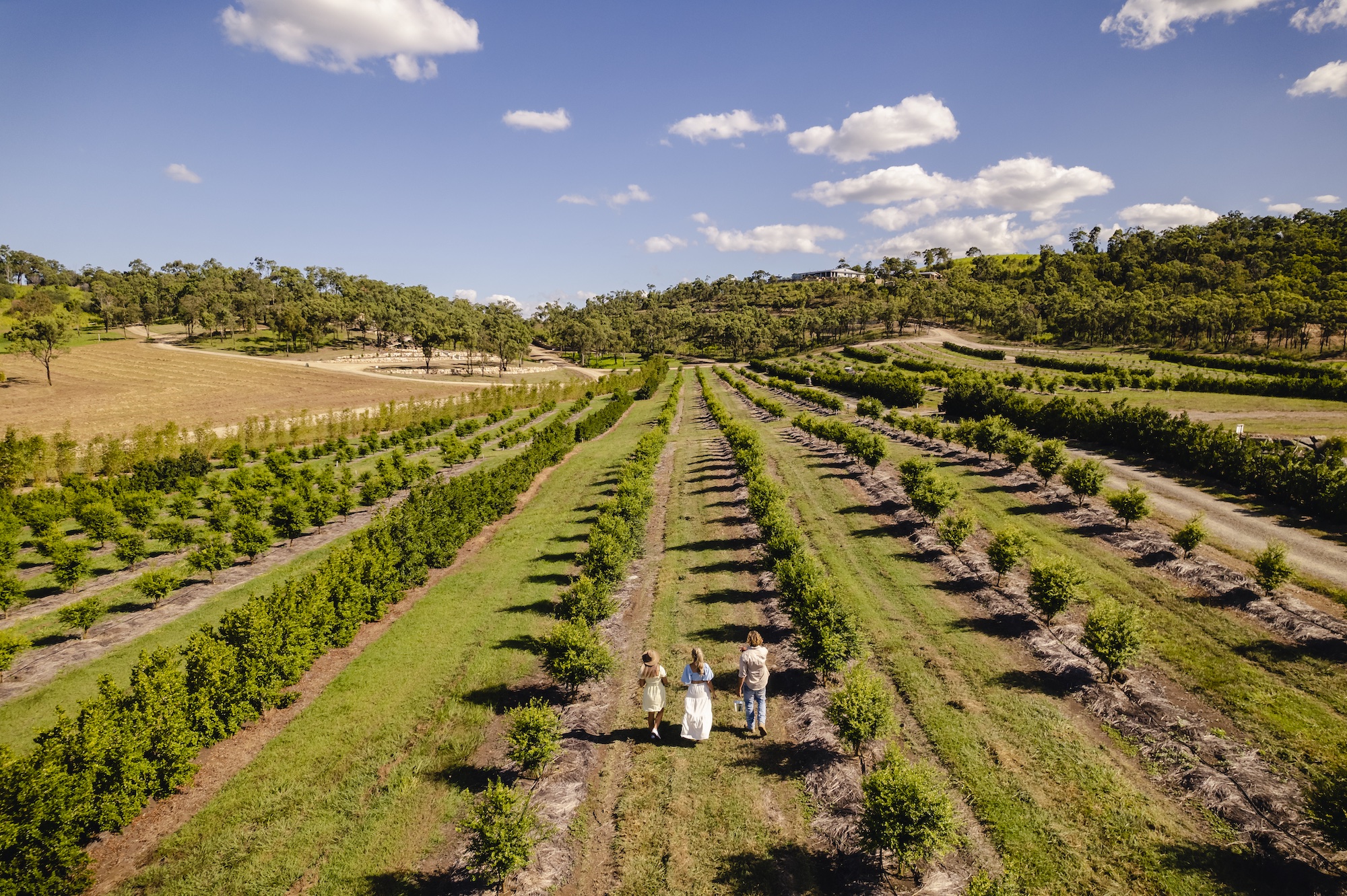 The Salty Lime Co farm, venue and guest experiences