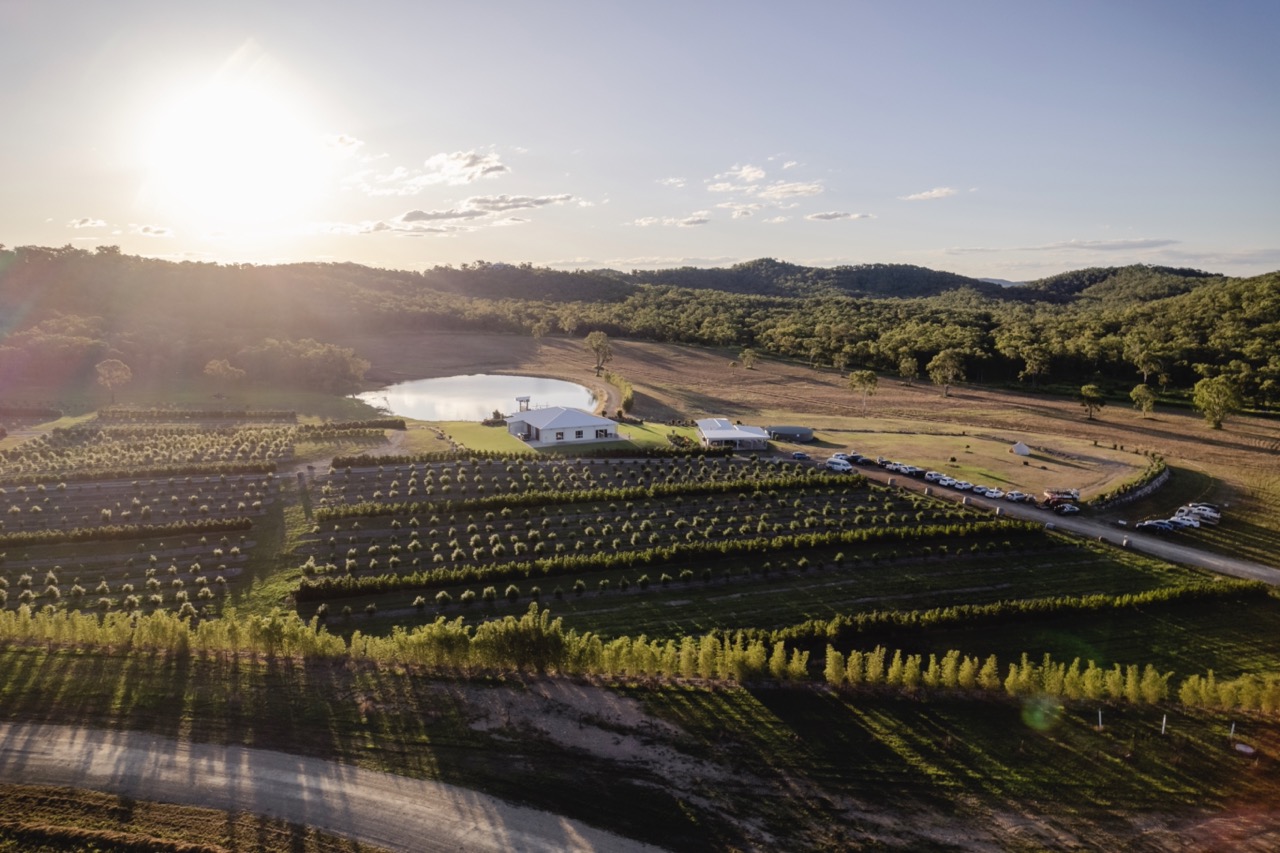 The Salty Lime Co farm, venue and guest experiences