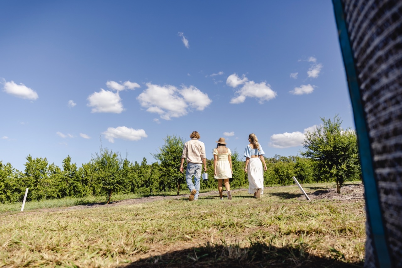 The Salty Lime Co farm, venue and guest experiences
