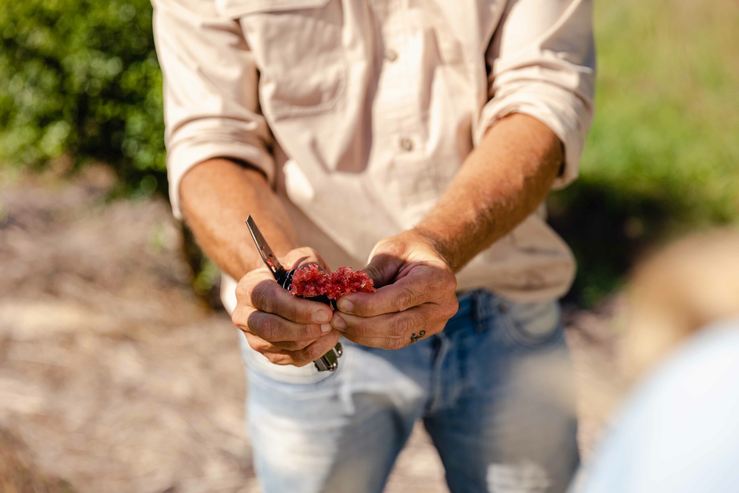 Farm tours and experiences at The Salty Lime Co